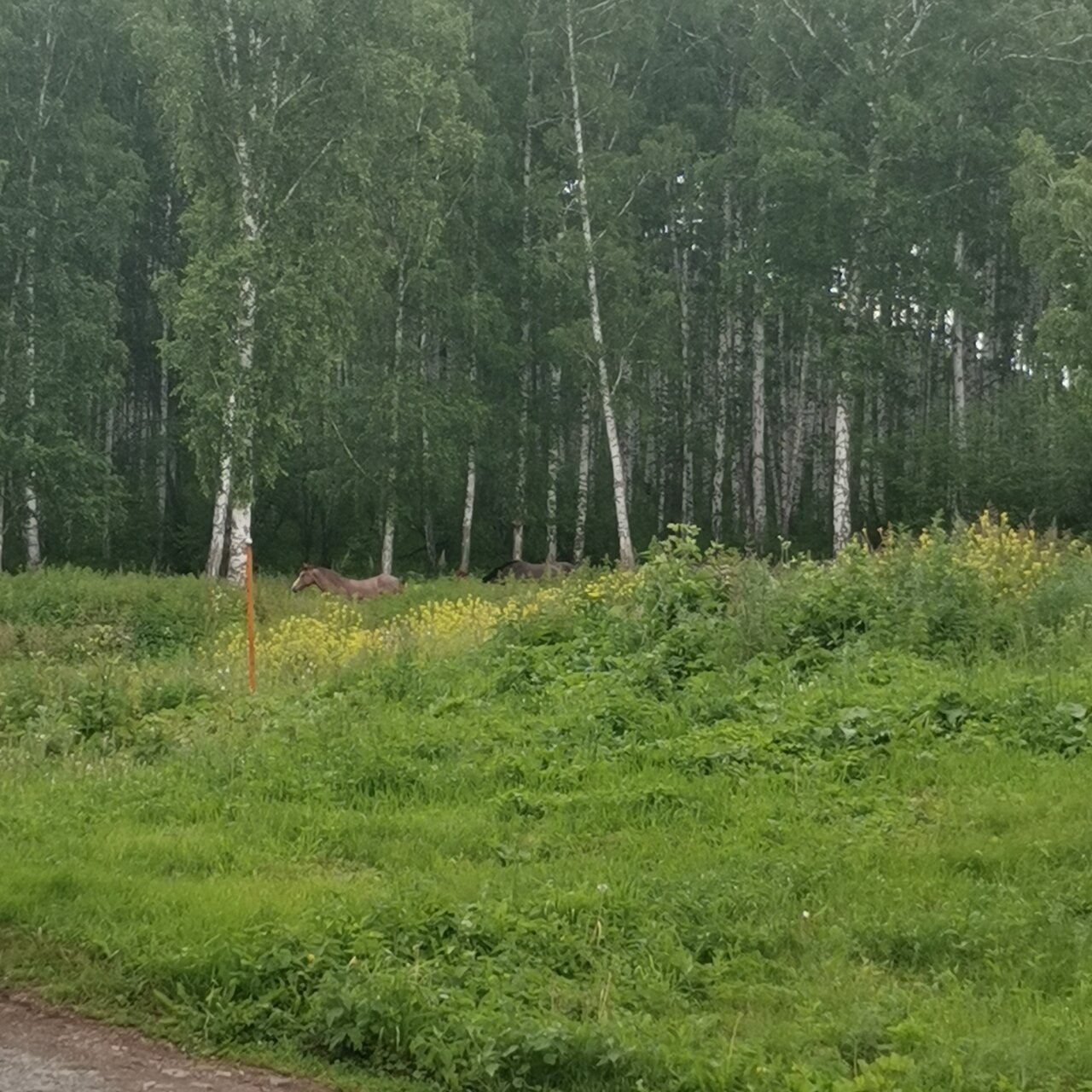 Гостиница Кизиловая Новоабзаково