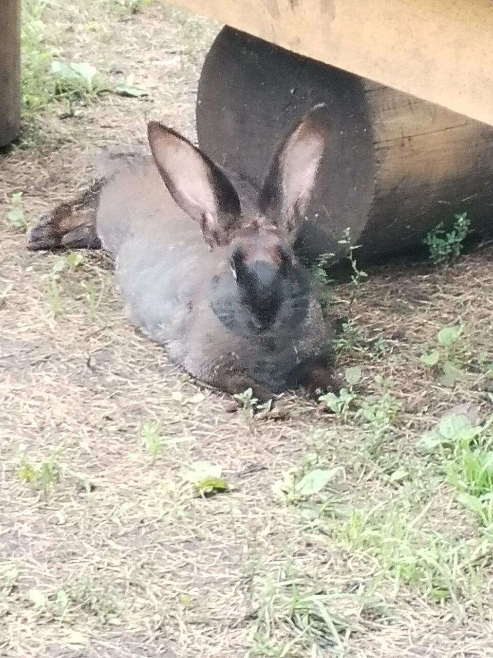 Гостиница Кизиловая Новоабзаково-96