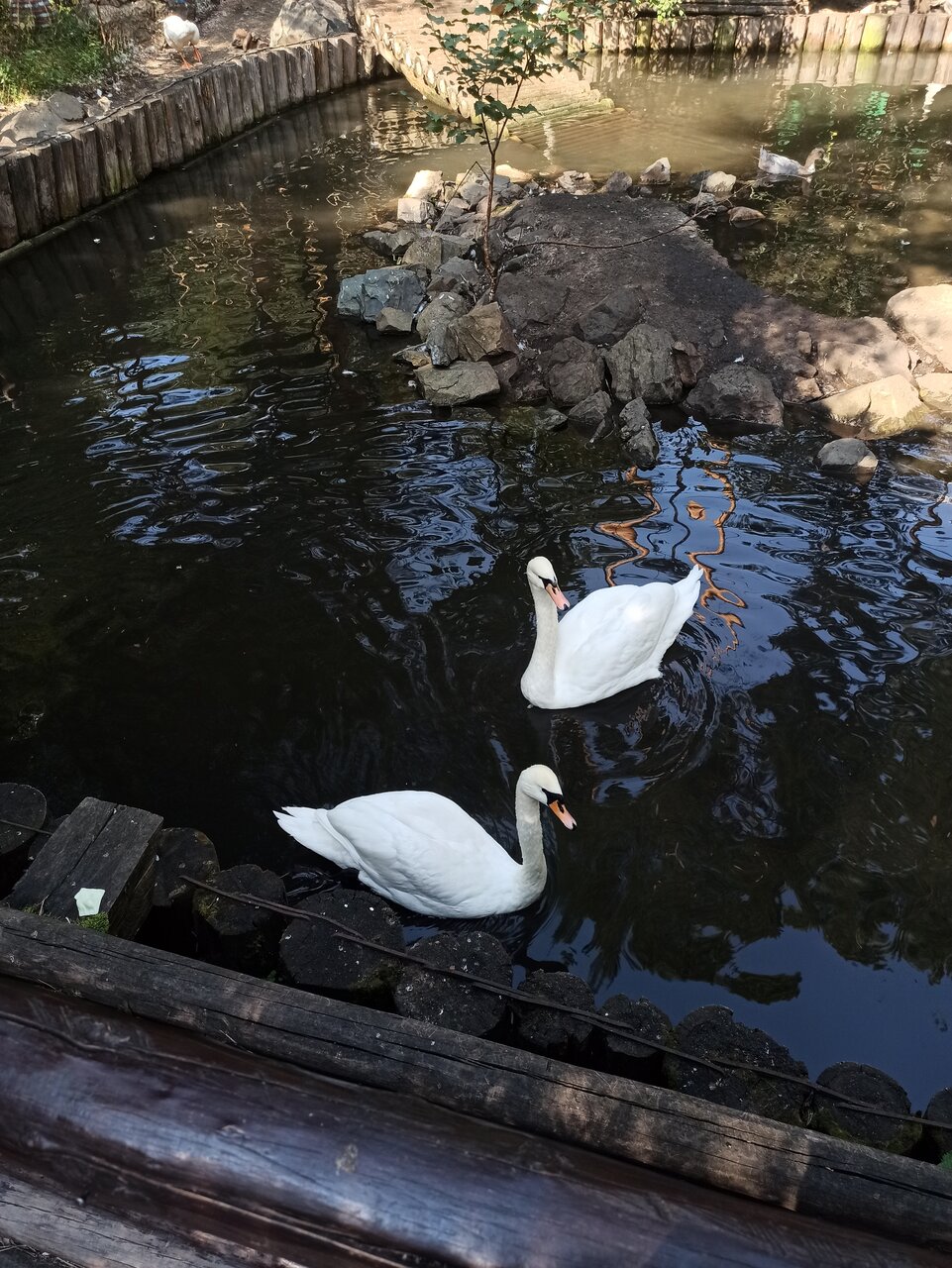 Гостиница Кизиловая Новоабзаково-9