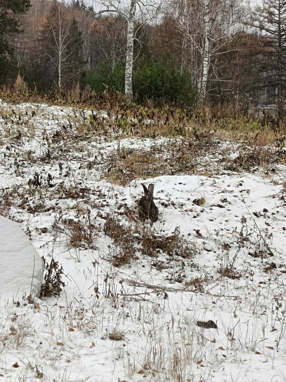 Гостиница Кизиловая Новоабзаково-65