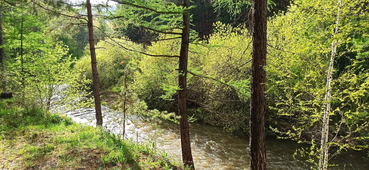 Гостиница Кизиловая Новоабзаково-108