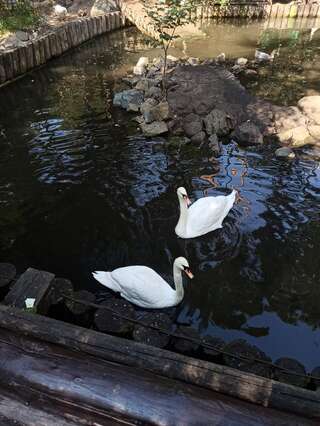 Гостиница Кизиловая Новоабзаково-5