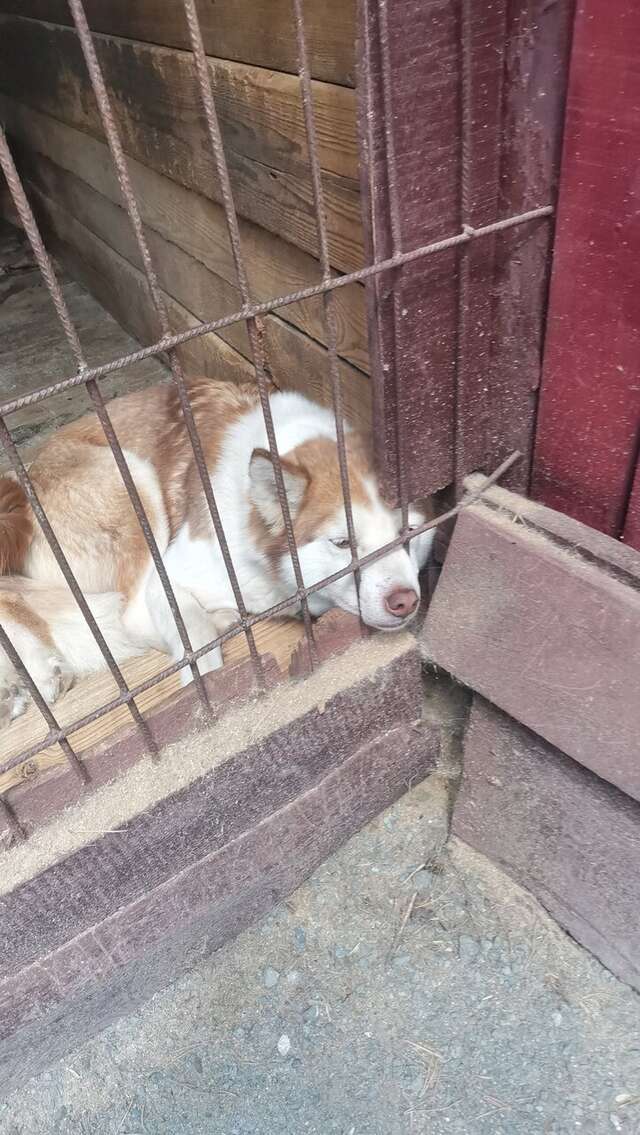 Гостиница Кизиловая Новоабзаково-75